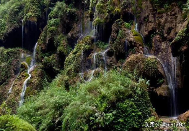逃出白海豹洞